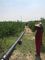 40mm 50mm Landelijk Poly Pipe Watervoorziening Irrigatiesysteem